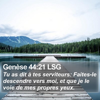 Genèse 44:21 LSG Bible Verse Image