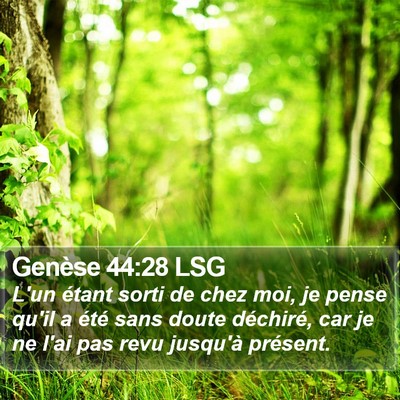 Genèse 44:28 LSG Bible Verse Image
