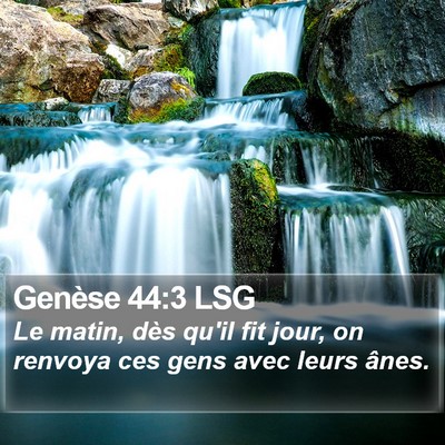 Genèse 44:3 LSG Bible Verse Image