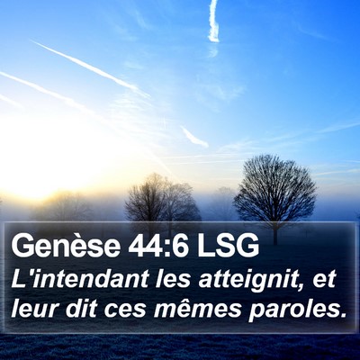 Genèse 44:6 LSG Bible Verse Image