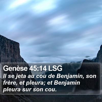 Genèse 45:14 LSG Bible Verse Image
