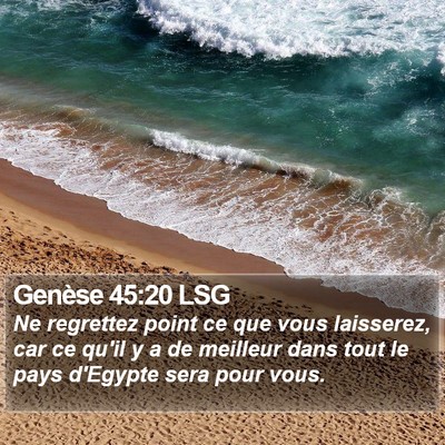 Genèse 45:20 LSG Bible Verse Image