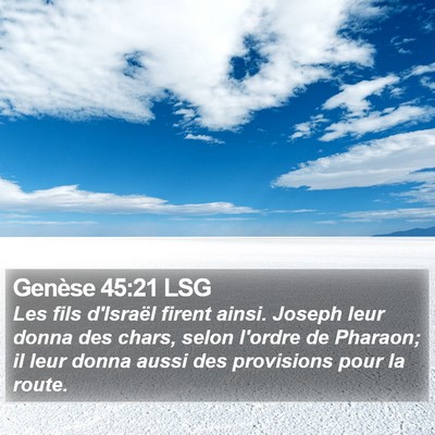 Genèse 45:21 LSG Bible Verse Image