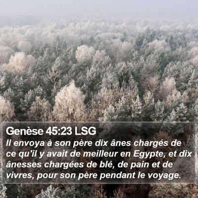 Genèse 45:23 LSG Bible Verse Image