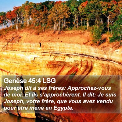 Genèse 45:4 LSG Bible Verse Image