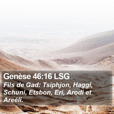 Genèse 46:16 LSG Bible Verse Image