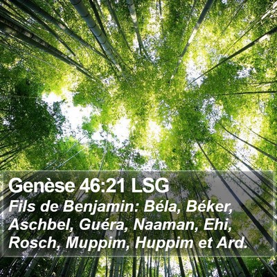 Genèse 46:21 LSG Bible Verse Image