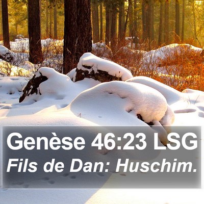 Genèse 46:23 LSG Bible Verse Image