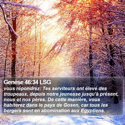 Genèse 46:34 LSG Bible Verse Image