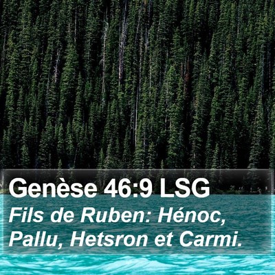 Genèse 46:9 LSG Bible Verse Image