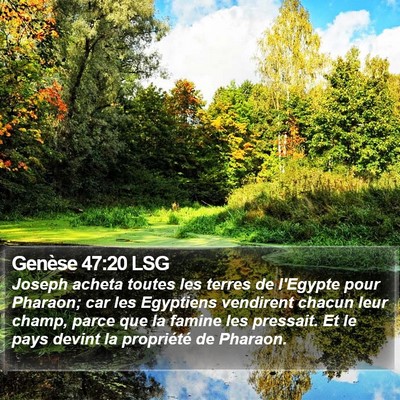 Genèse 47:20 LSG Bible Verse Image