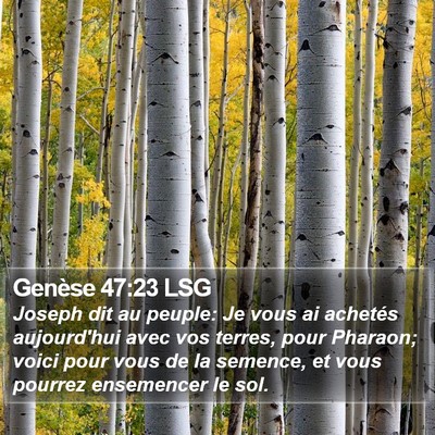Genèse 47:23 LSG Bible Verse Image