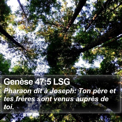 Genèse 47:5 LSG Bible Verse Image