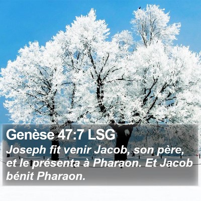 Genèse 47:7 LSG Bible Verse Image