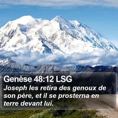 Genèse 48:12 LSG Bible Verse Image