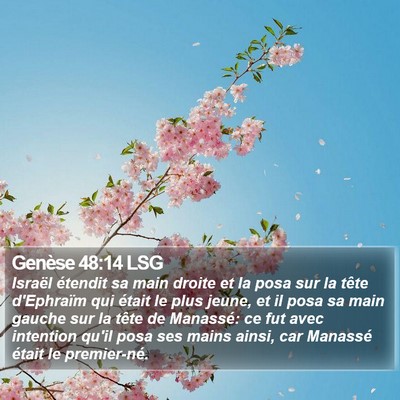 Genèse 48:14 LSG Bible Verse Image