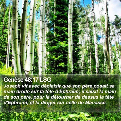 Genèse 48:17 LSG Bible Verse Image