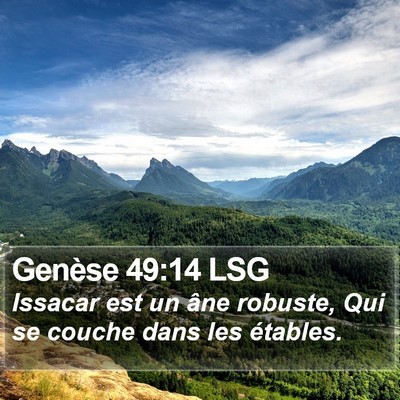 Genèse 49:14 LSG Bible Verse Image