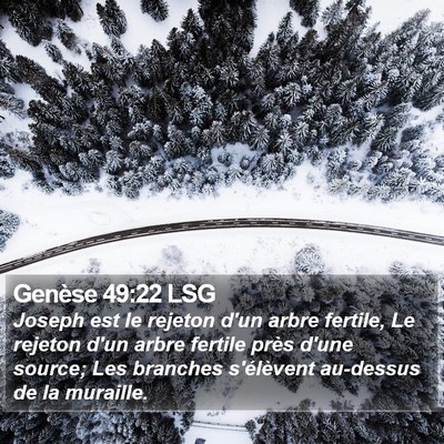 Genèse 49:22 LSG Bible Verse Image