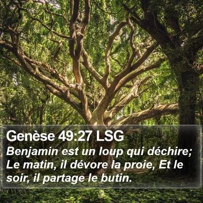 Genèse 49:27 LSG Bible Verse Image