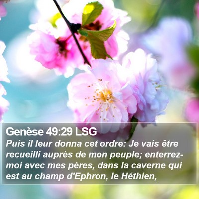 Genèse 49:29 LSG Bible Verse Image