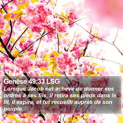 Genèse 49:33 LSG Bible Verse Image