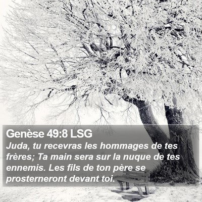 Genèse 49:8 LSG Bible Verse Image
