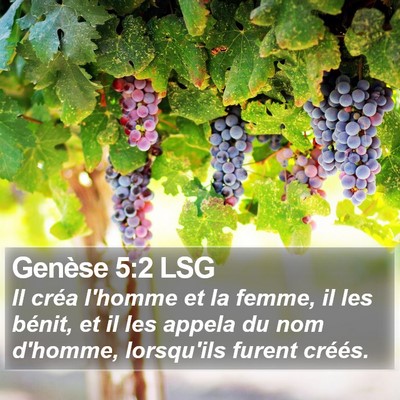 Genèse 5:2 LSG Bible Verse Image