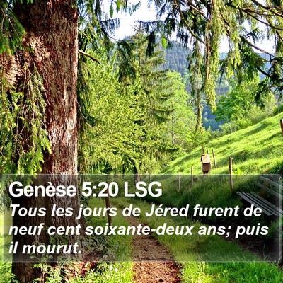 Genèse 5:20 LSG Bible Verse Image