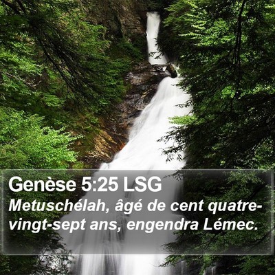 Genèse 5:25 LSG Bible Verse Image