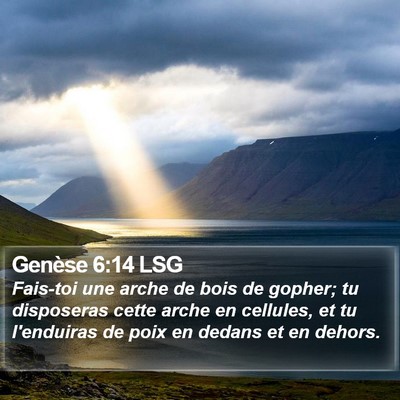 Genèse 6:14 LSG Bible Verse Image