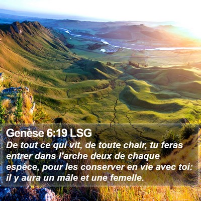 Genèse 6:19 LSG Bible Verse Image