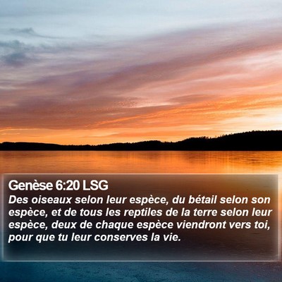 Genèse 6:20 LSG Bible Verse Image