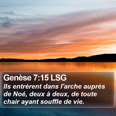 Genèse 7:15 LSG Bible Verse Image