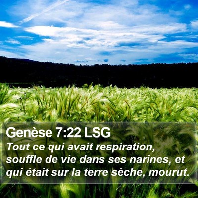 Genèse 7:22 LSG Bible Verse Image