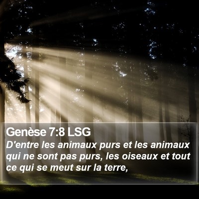 Genèse 7:8 LSG Bible Verse Image