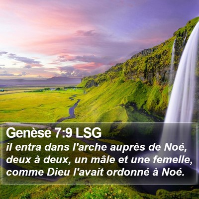 Genèse 7:9 LSG Bible Verse Image
