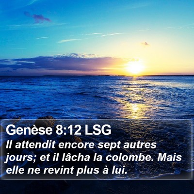 Genèse 8:12 LSG Bible Verse Image