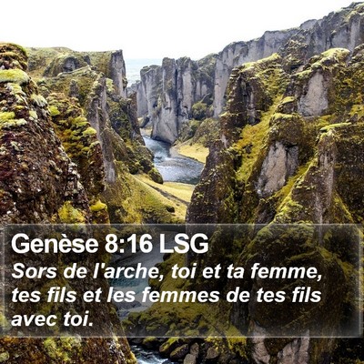 Genèse 8:16 LSG Bible Verse Image
