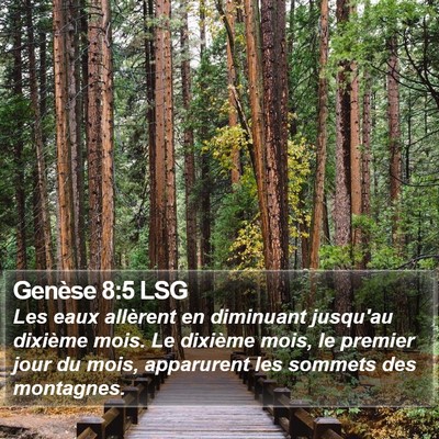 Genèse 8:5 LSG Bible Verse Image