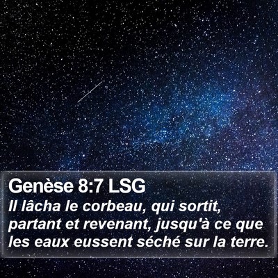 Genèse 8:7 LSG Bible Verse Image