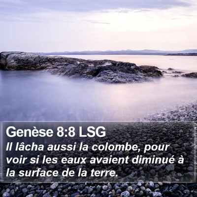 Genèse 8:8 LSG Bible Verse Image