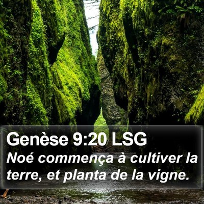 Genèse 9:20 LSG Bible Verse Image