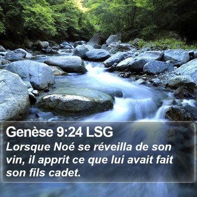 Genèse 9:24 LSG Bible Verse Image