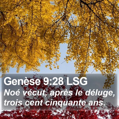 Genèse 9:28 LSG Bible Verse Image