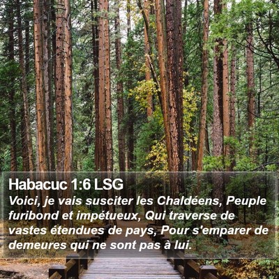 Habacuc 1:6 LSG Bible Verse Image