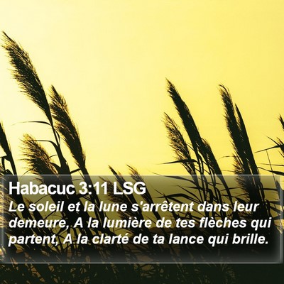 Habacuc 3:11 LSG Bible Verse Image