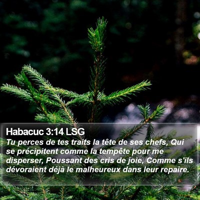 Habacuc 3:14 LSG Bible Verse Image