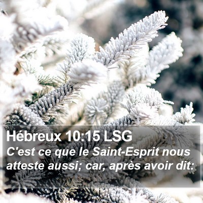 Hébreux 10:15 LSG Bible Verse Image