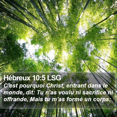 Hébreux 10:5 LSG Bible Verse Image